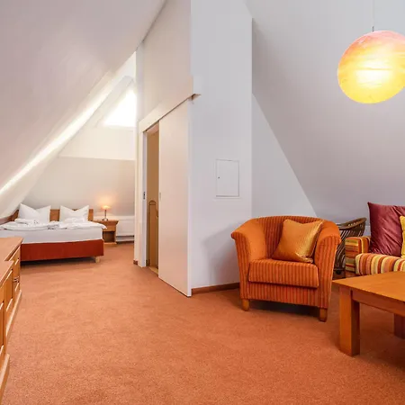 Kormoran * Dierhagen