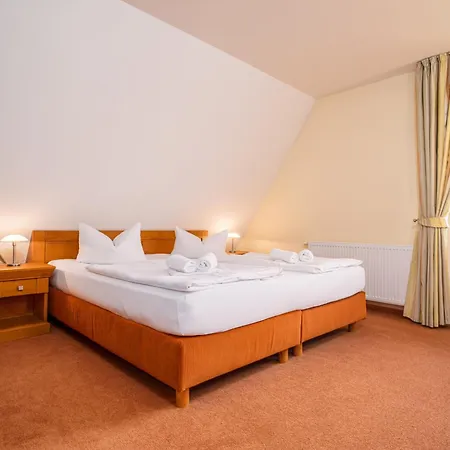 Kormoran * Dierhagen